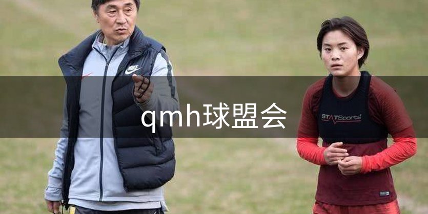 公司布局